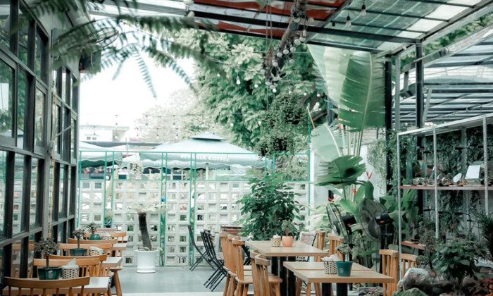 Quán Cafe đẹp ở đường Lê Hồng Phong Hải Phòng - Vivaria Coffee & Trees